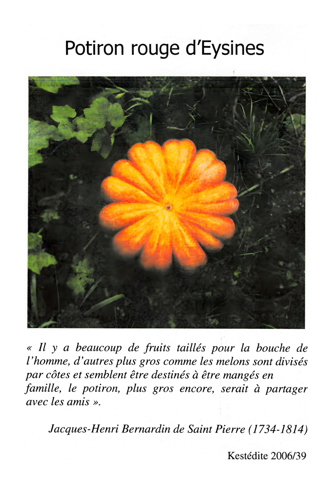 Potiron rouge d'Eysines