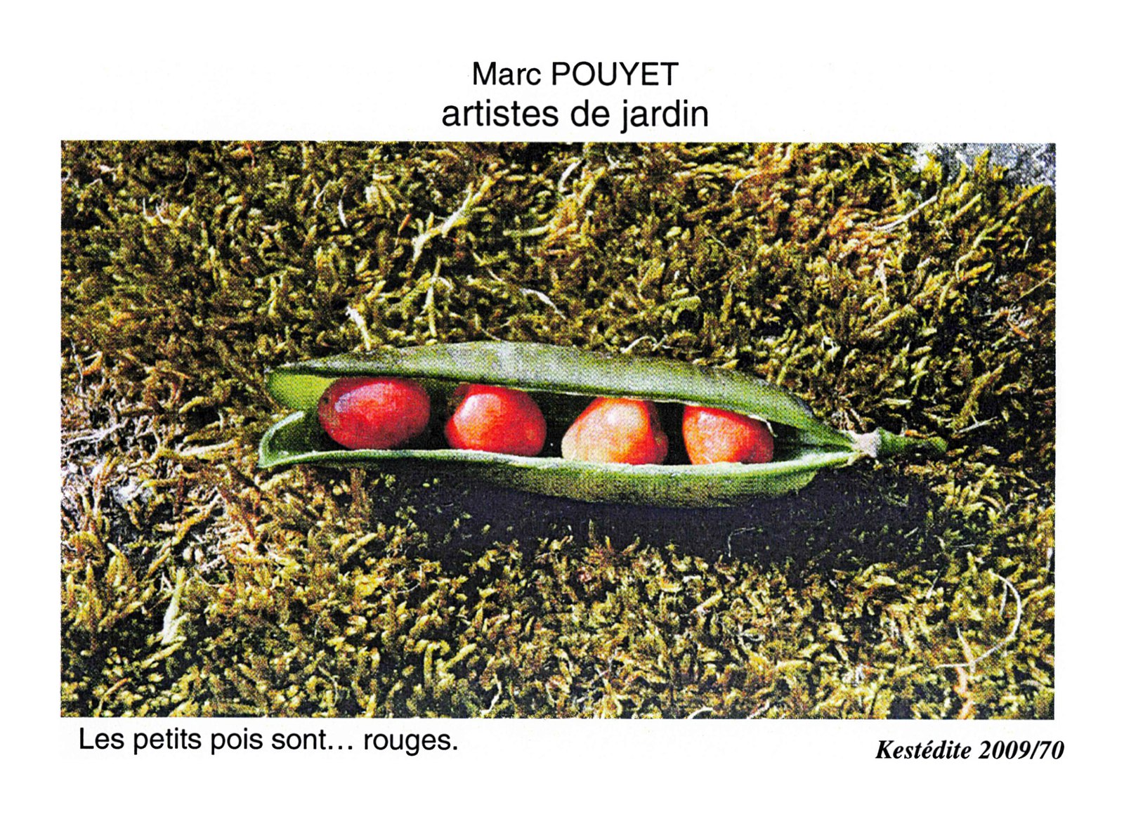 Marc POUYET artistes de jardin