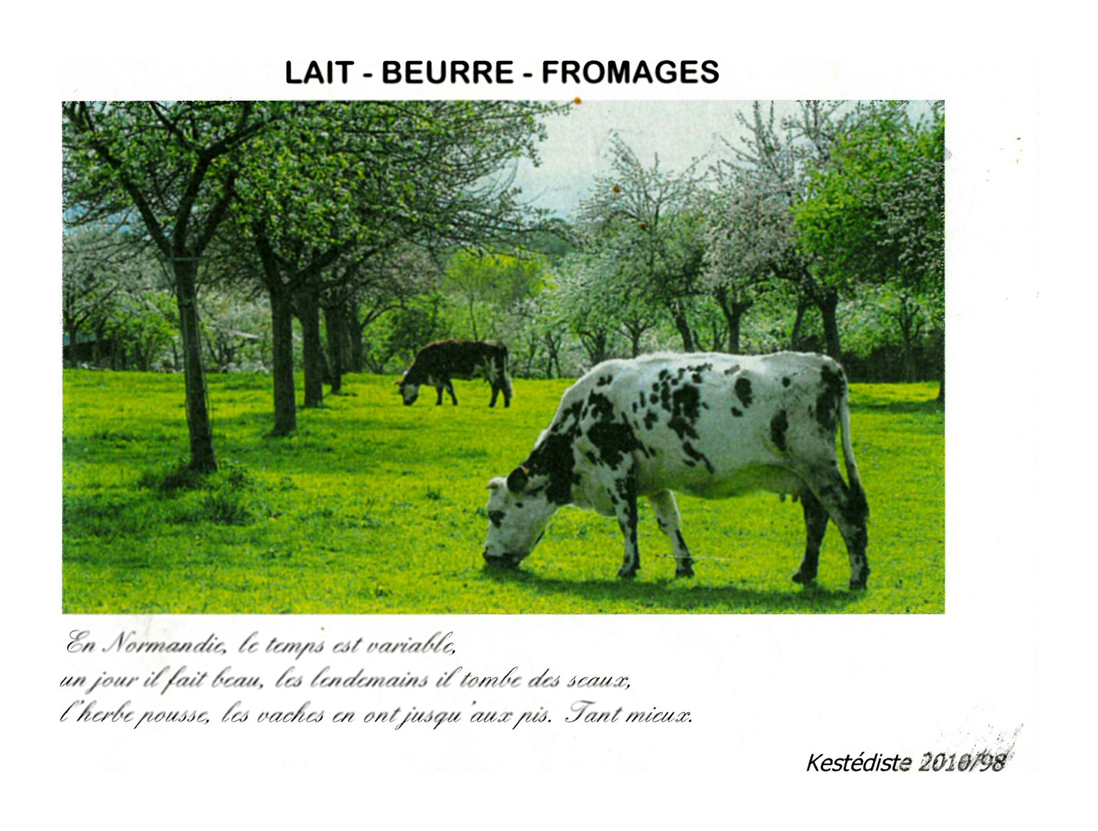 Lait - Beurre - Fromages