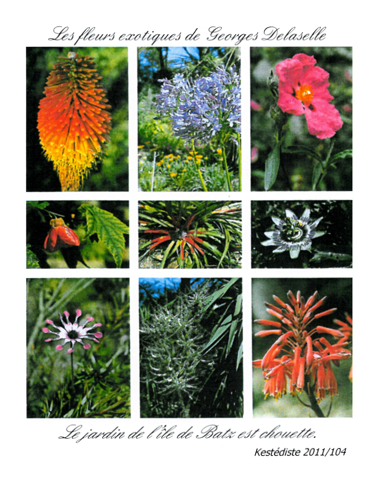 Les fleurs exotiques de Georges Delaselle
