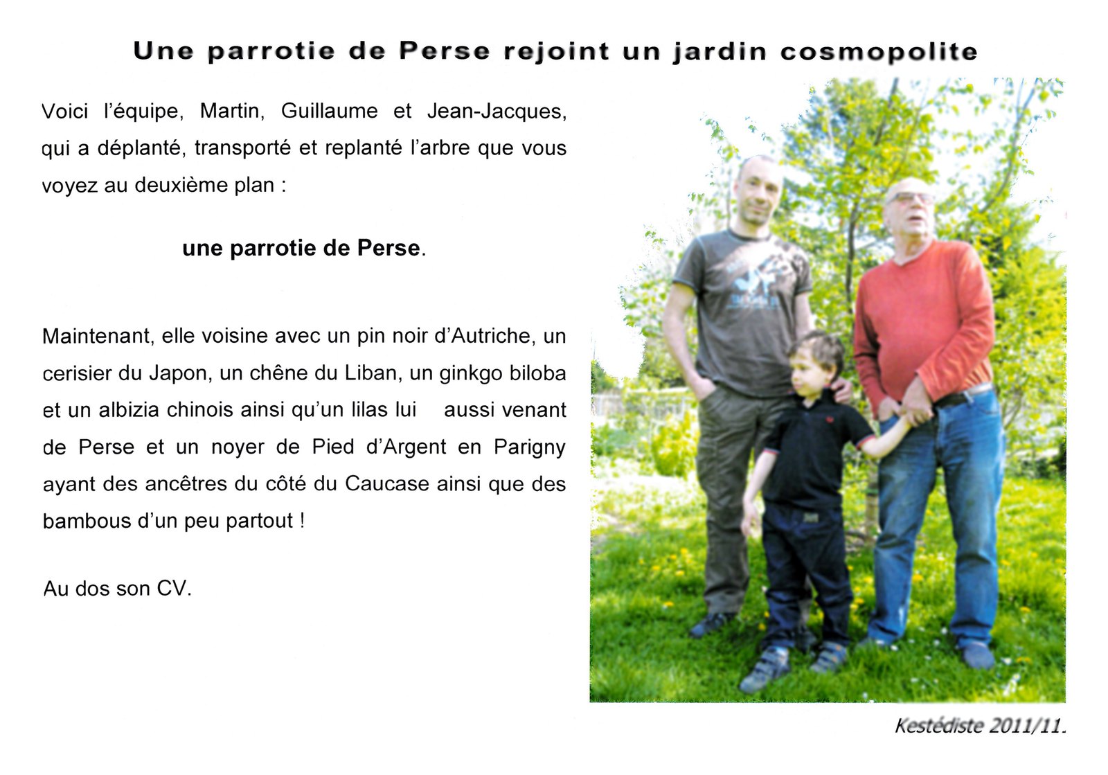 Une parrotie de Perse rejoint un jardin cosmopolite